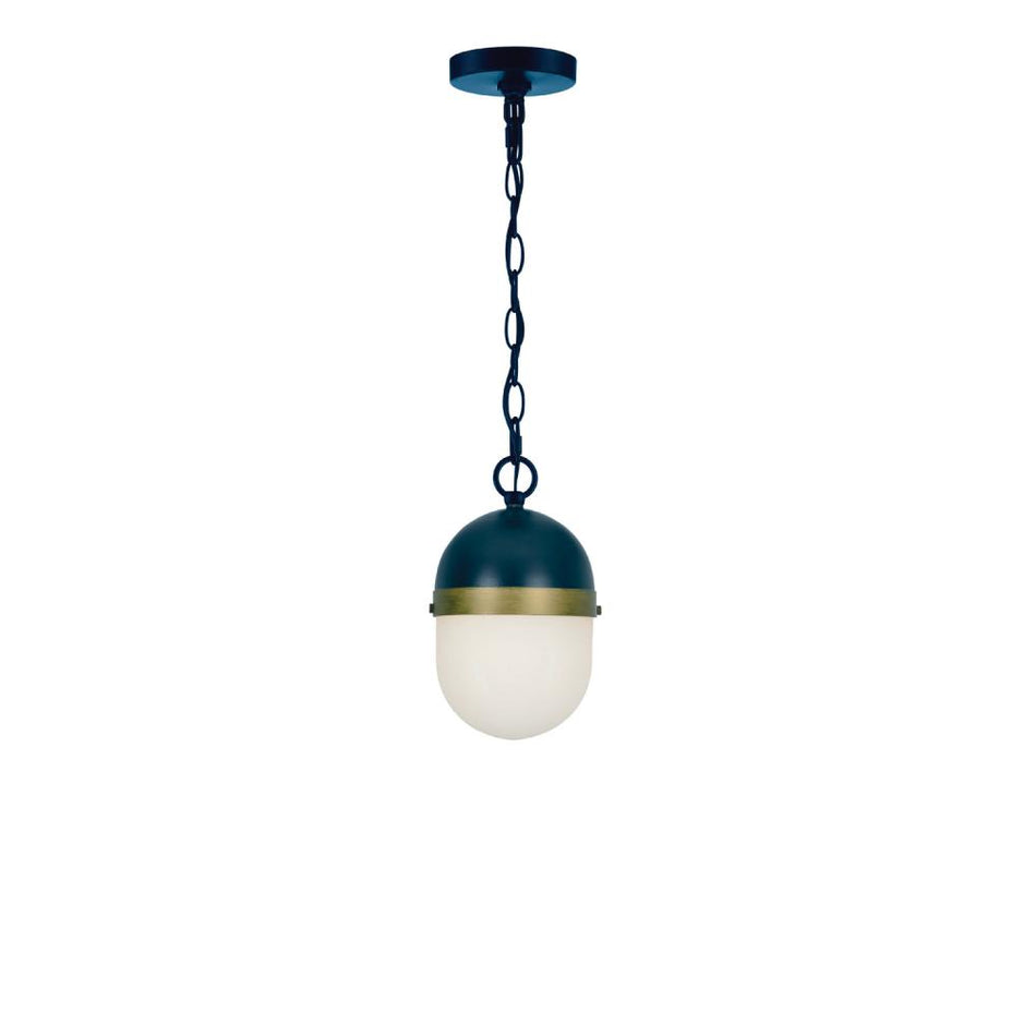 Contemporary Exterior Pendant from the Capsule Collection