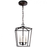 Casual Foyer/Hall Lantern from the Darlana Collection