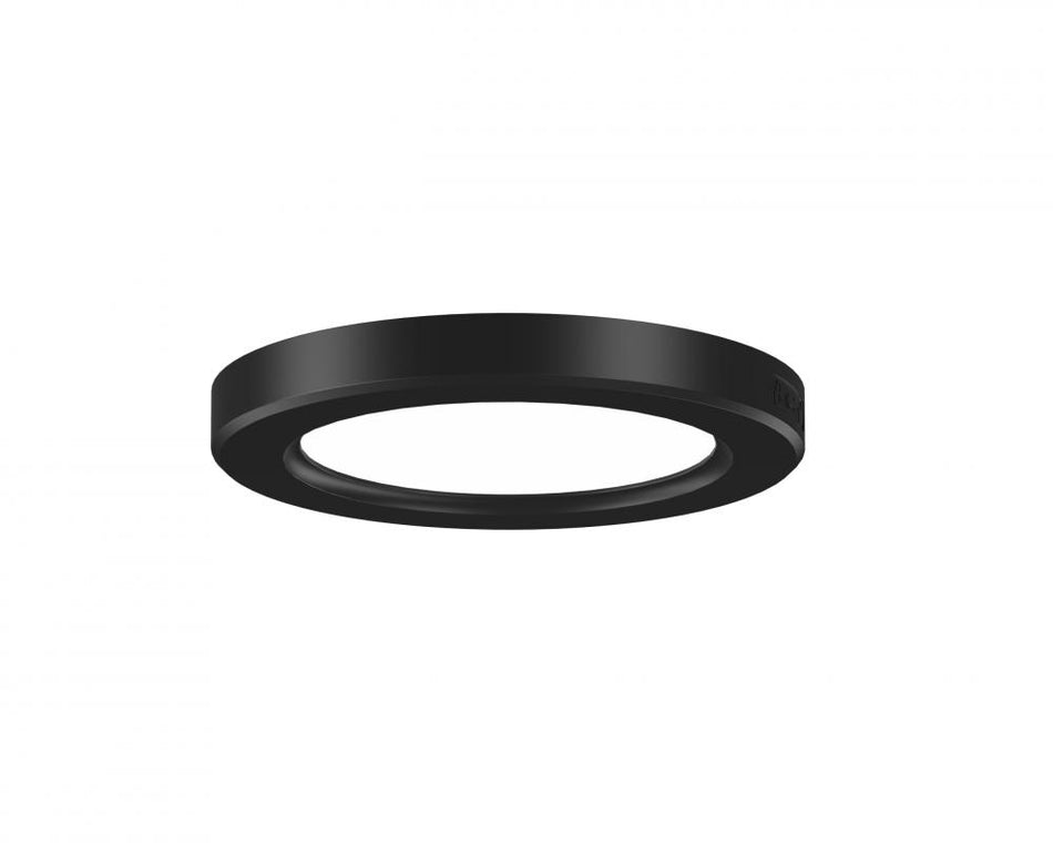 Flush Mount from the Firefly Collection