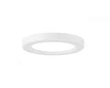 Flush Mount from the Firefly Collection
