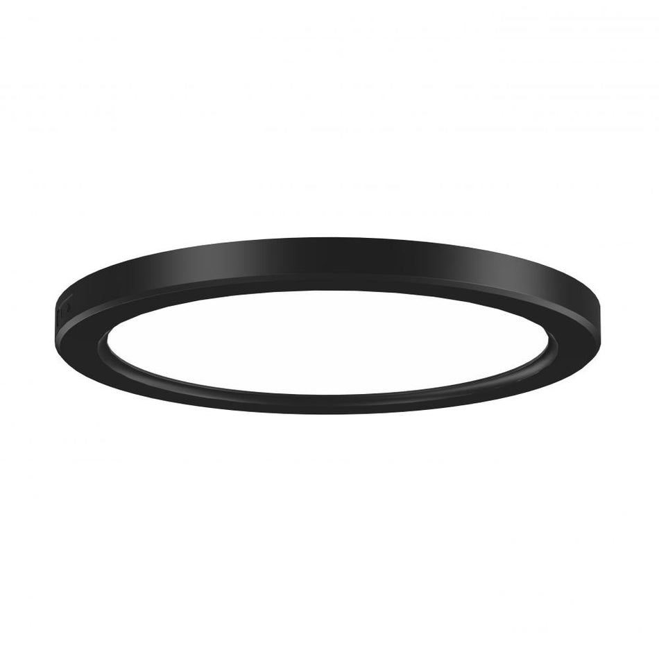 Flush Mount from the Firefly Collection
