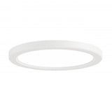 Flush Mount from the Firefly Collection