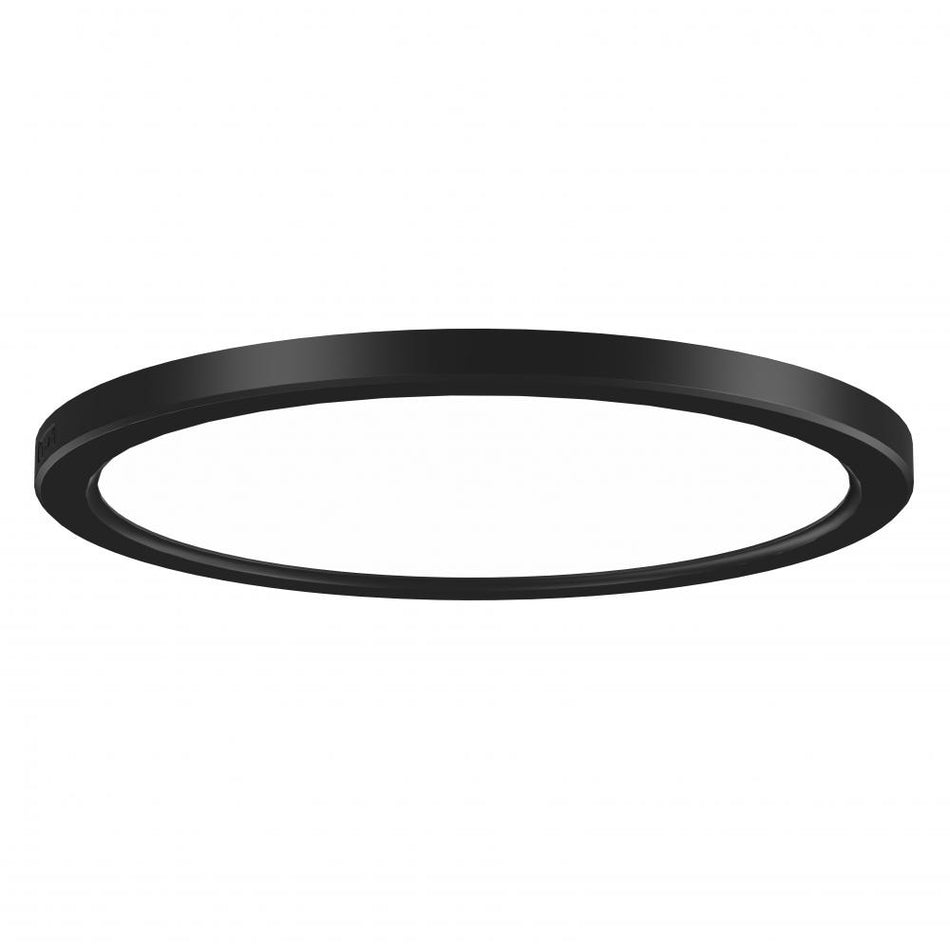 Flush Mount from the Firefly Collection