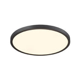 Flush Mount from the Typhoon Collection