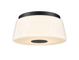 Flush Mount from the Robson Hall Collection