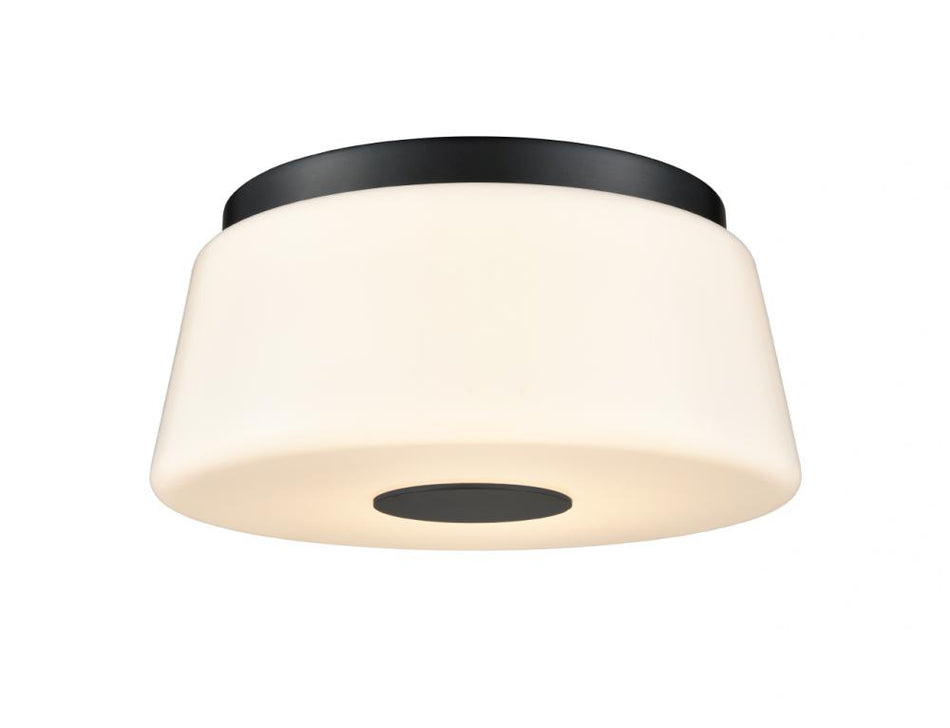 Flush Mount from the Robson Hall Collection