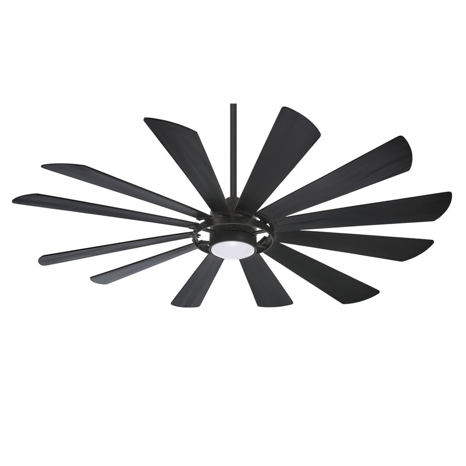 Transitional Exterior Fan from the Windmolen Collection