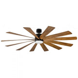 Transitional Ceiling Fans With Light from the WINDFLOWER Collection