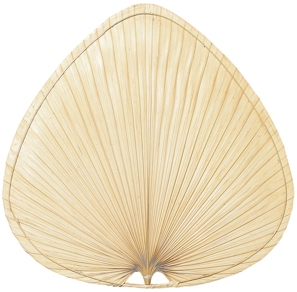 Tropical Fan Blade from the Blades Palm Collection