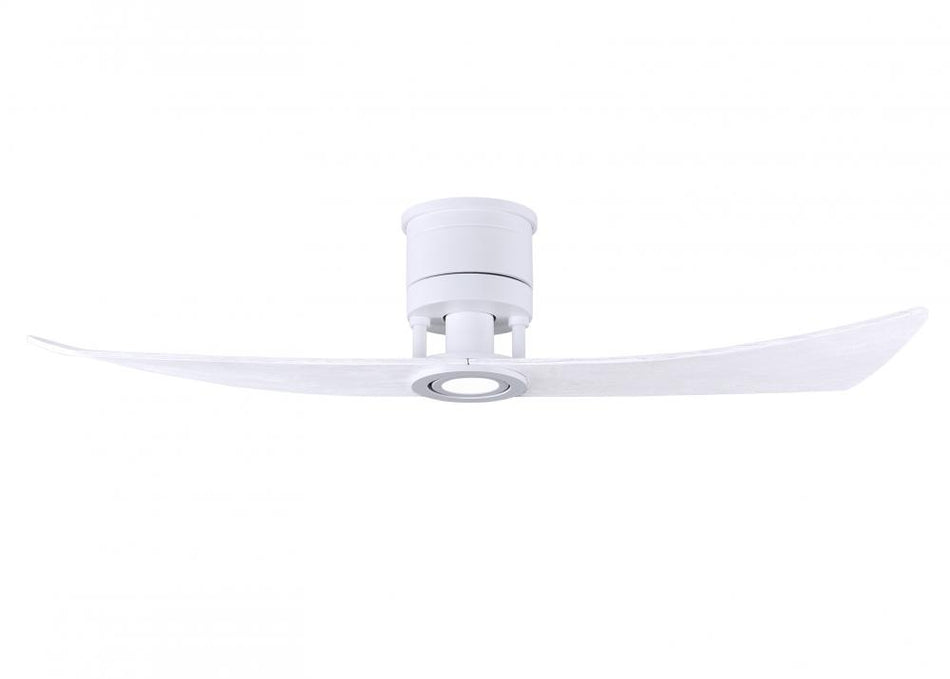 Contemporary Ceiling Fans With Light from the Lindsay Collection