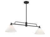 Transitional 2 Light Chandelier