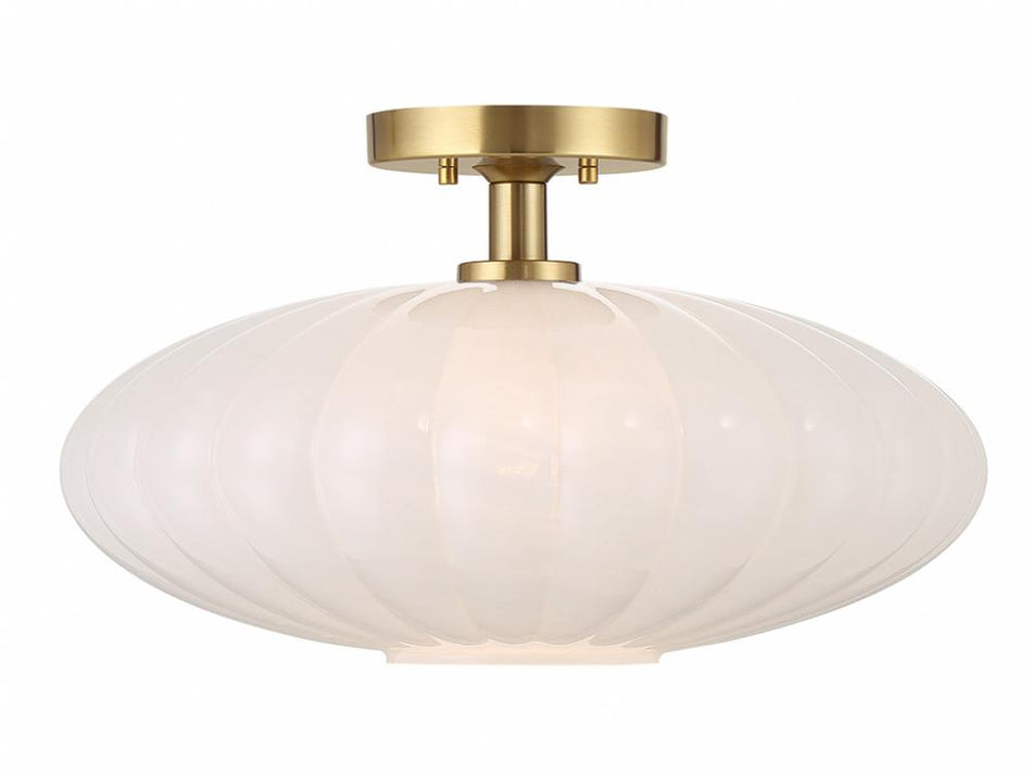 1-Light Ceiling Light