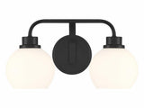 Contemporary Vanity Light