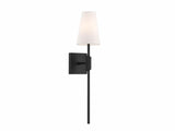 Transitional Wall Sconce