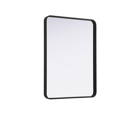 Remy 27 x 36 in. Rectangle Mirror in Black