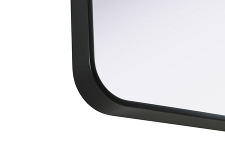 Remy 27 x 36 in. Rectangle Mirror in Black