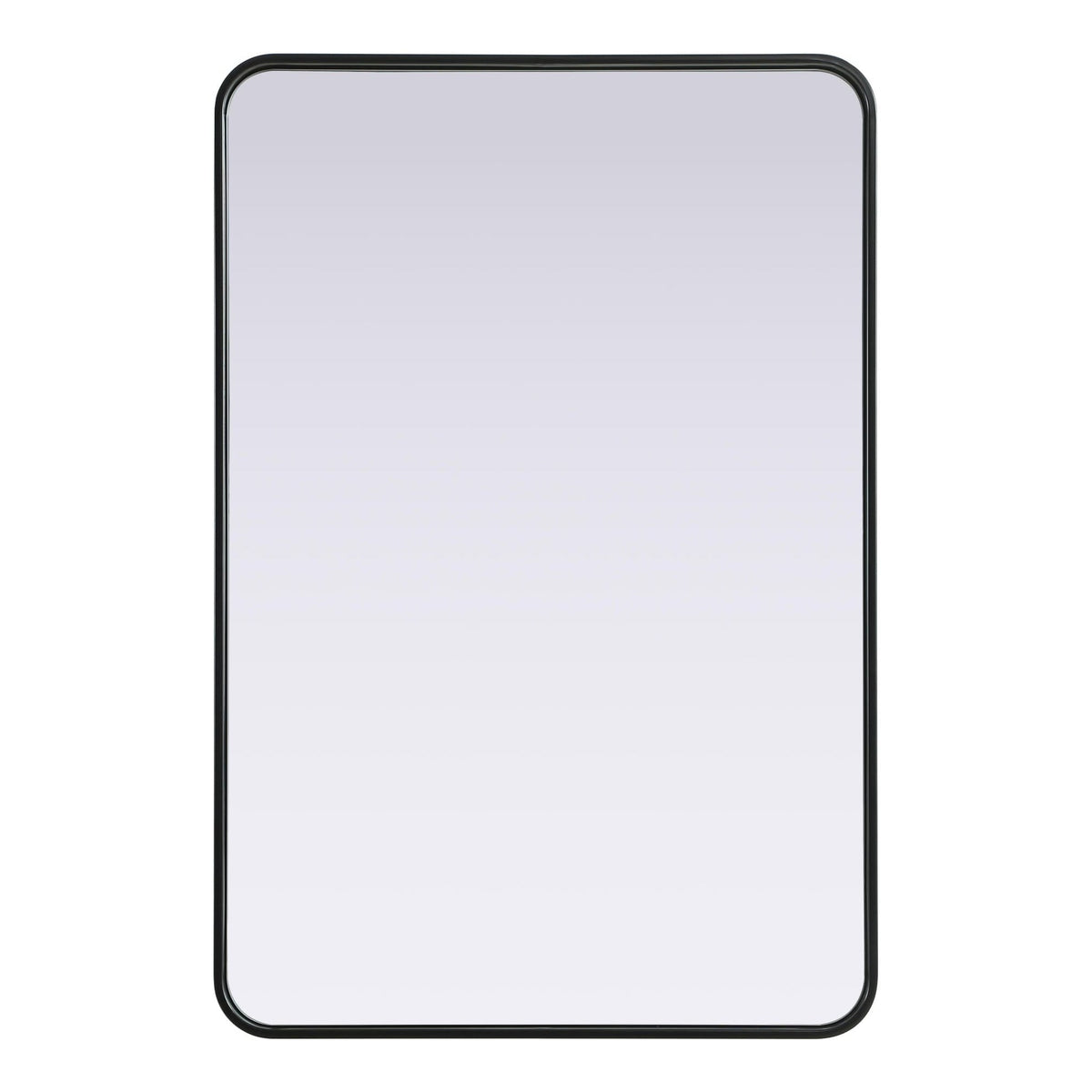 Remy 27 x 40 in. Rectangle Mirror in Black