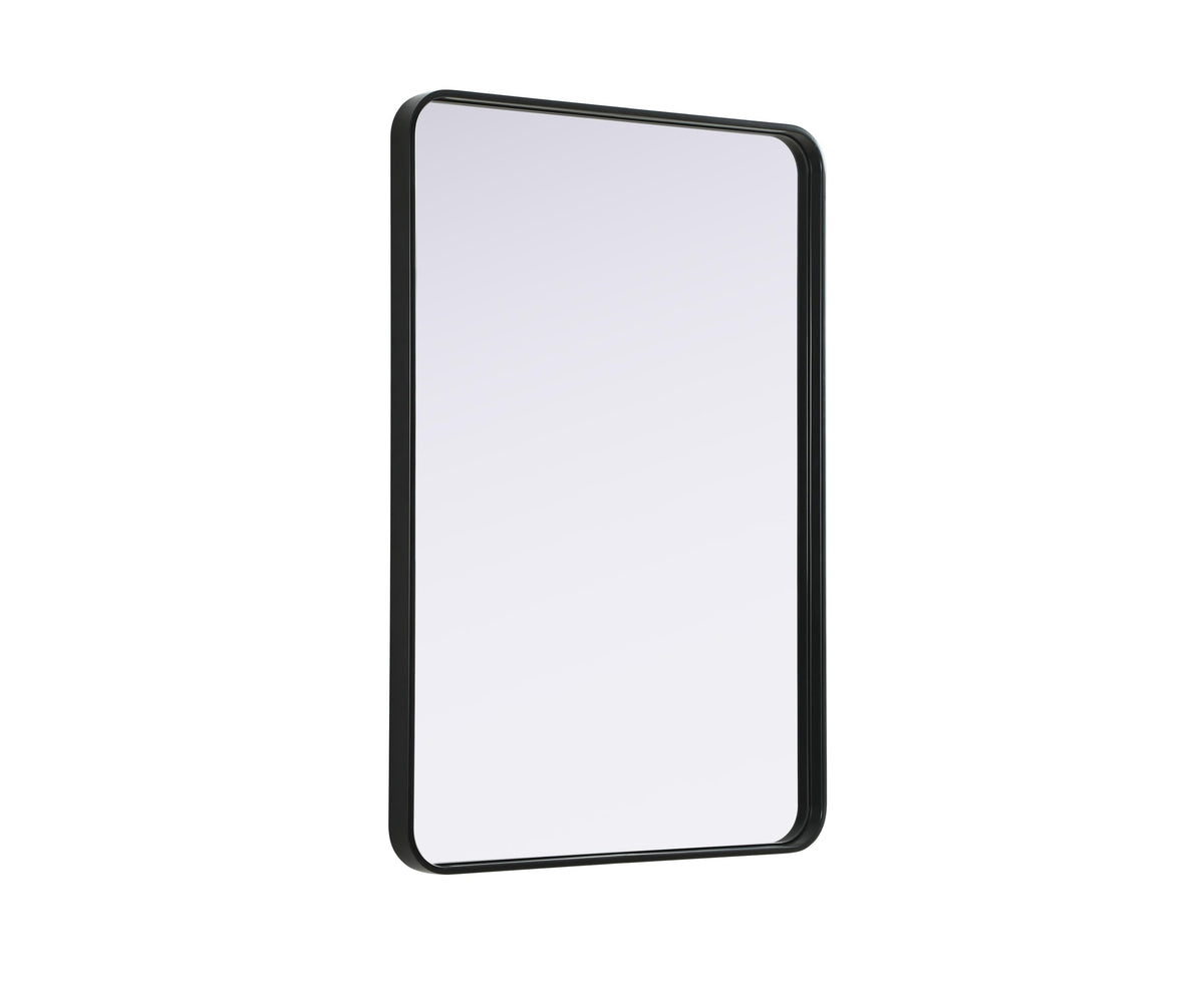 Remy 27 x 40 in. Rectangle Mirror in Black