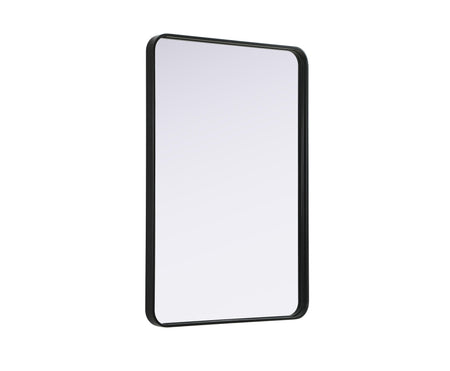 Remy 27 x 40 in. Rectangle Mirror in Black