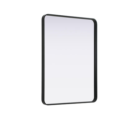 Remy 30 x 40 in. Rectangle Mirror in Black