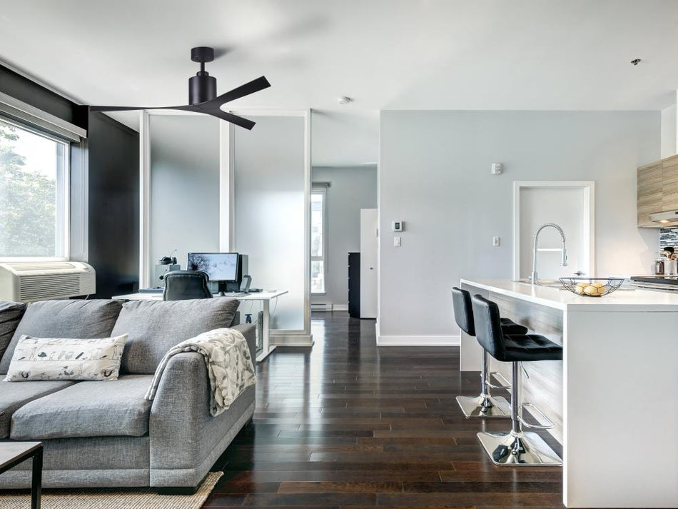 Contemporary Ceiling Fan from the Molly Collection