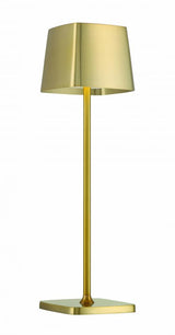 LED Table Lamp with Battery
