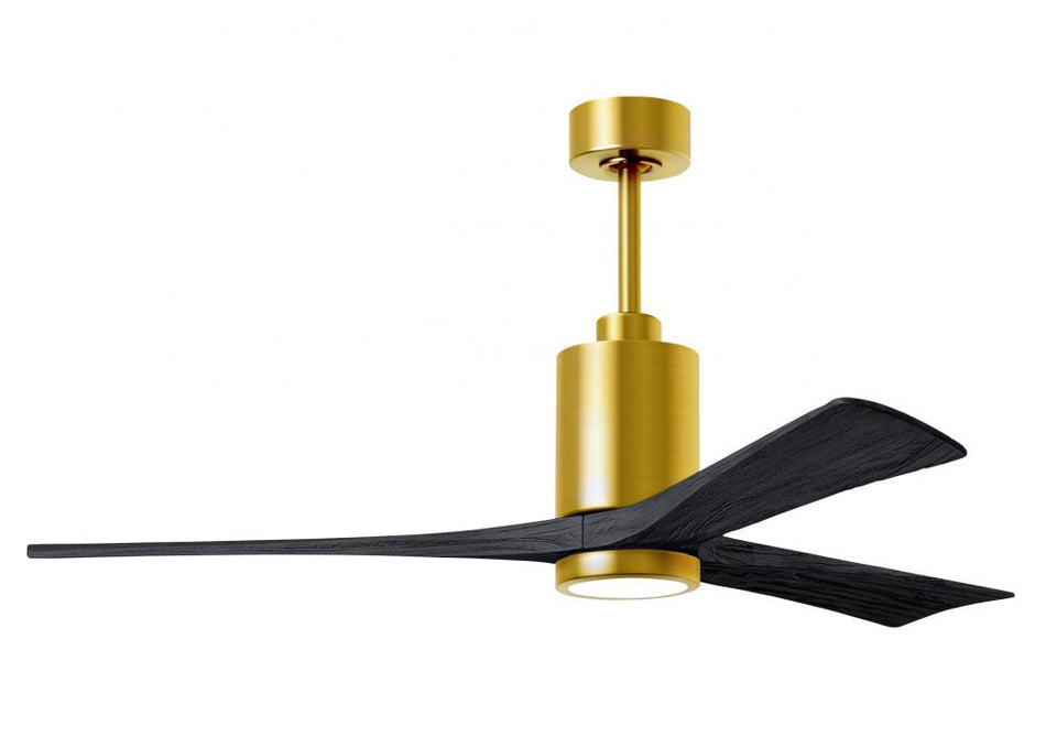 Contemporary Ceiling Fans With Light from the Patricia-3 Collection