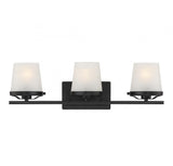 Klein 3-Light Bathroom Vanity Light in Matte