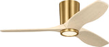 Contemporary Hugger Fan from the Seyra Collection