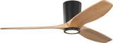 Contemporary Hugger Fan from the Seyra Collection