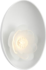 Petaluma 7" Reflector Sconce