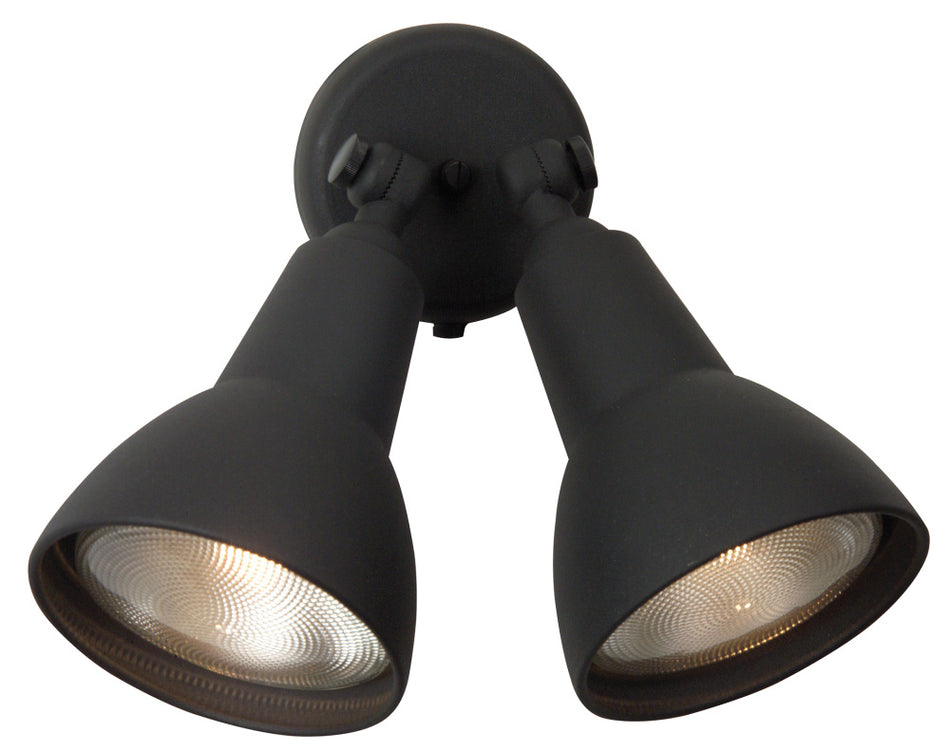 Outdoor Directional Light from the Flood Light Collection