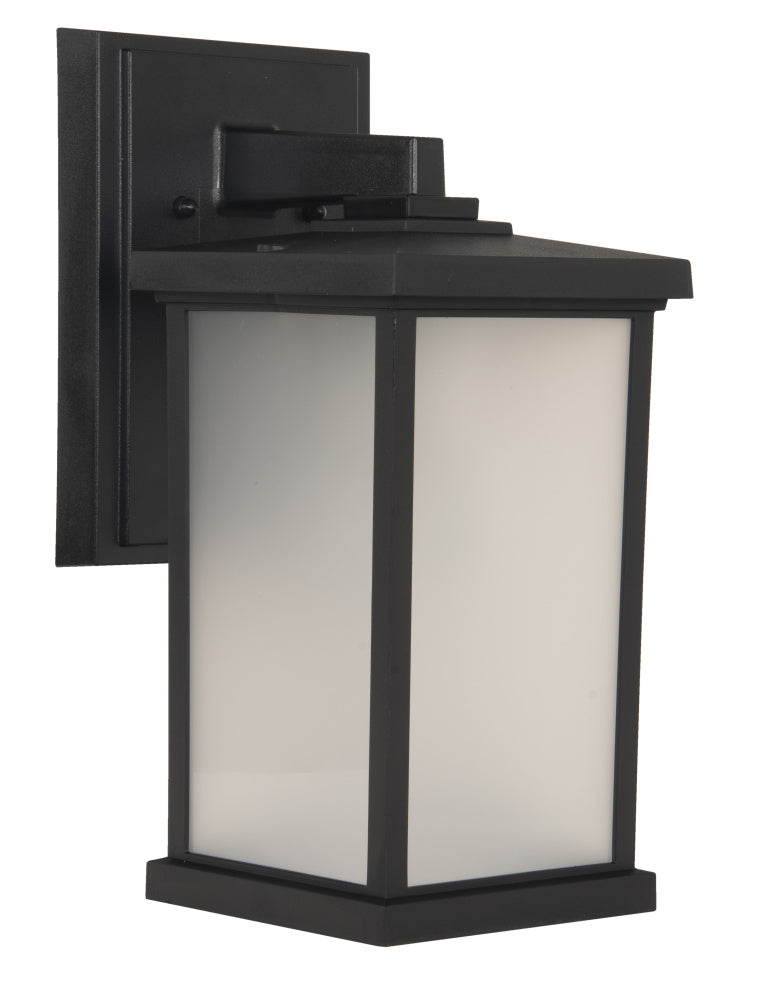 Wall Lantern from the Resilience Lanterns Collection