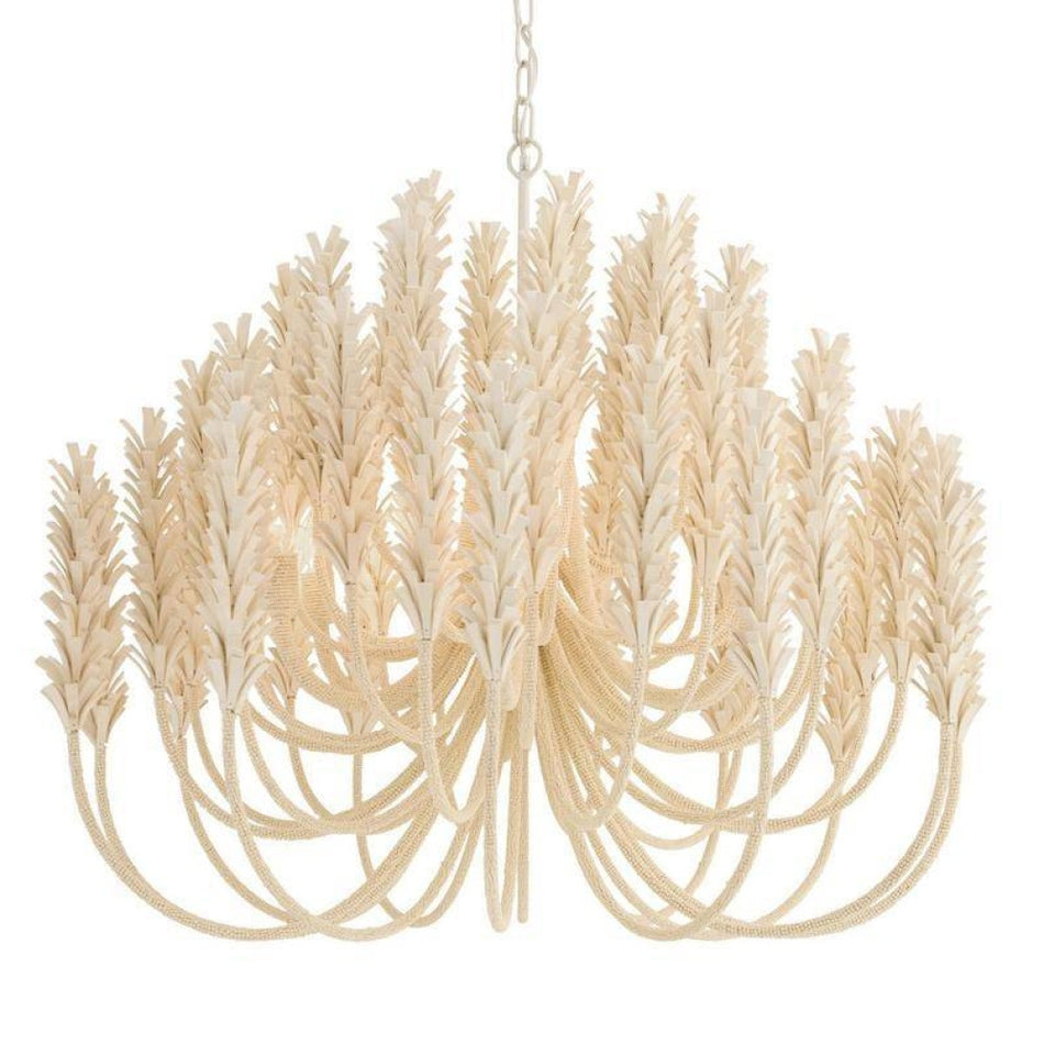 6 Light Chandelier