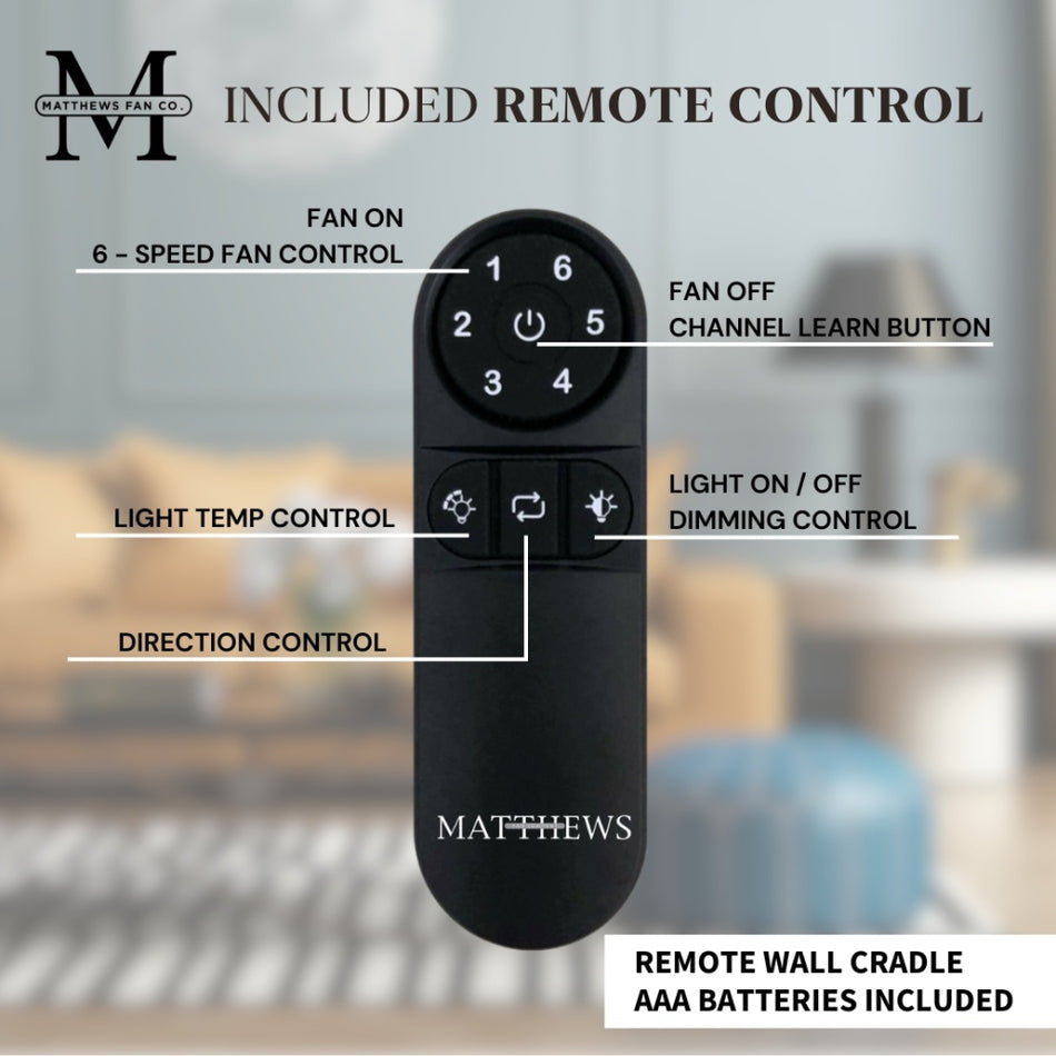 Contemporary Fan Remote from the Remote Control Collection