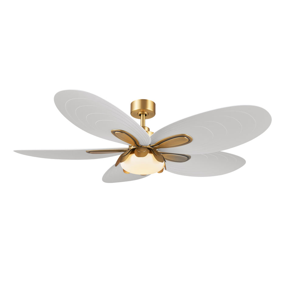 Modern Ceiling Fans With Light from the Saltcress Collection