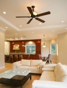 Ceiling Fan